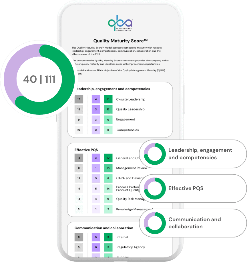 Quality Maturity Score™️